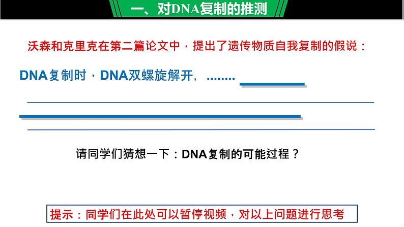 高中生物 DNA的复制 课件第7页