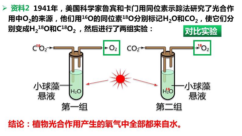 高中生物 光合作用的原理和应用（第一课时） 课件第5页