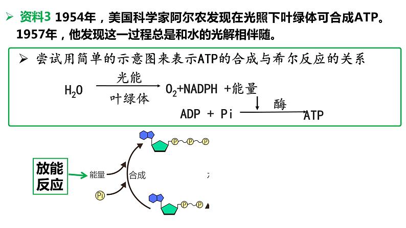 高中生物 光合作用的原理和应用（第一课时） 课件第6页