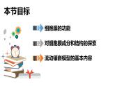 高中生物 细胞膜的结构和功能（微课）课件