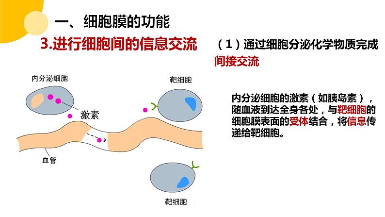 高中生物 细胞膜的结构和功能（微课）课件第8页