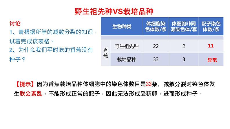 高中生物 必修二 染色体变异 课件第2页