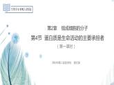 高中生物 蛋白质是生命活动的主要承担者 （第一课时） 课件