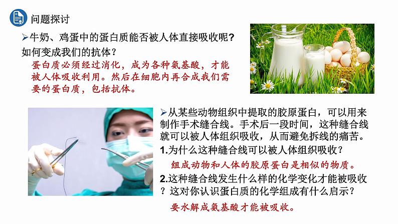 高中生物 蛋白质是生命活动的主要承担者 （第一课时） 课件第4页