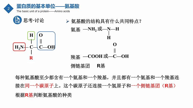 高中生物 蛋白质是生命活动的主要承担者 （第一课时） 课件第6页