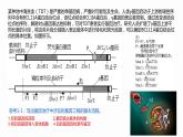 高中生物 基因工程的应用 课件