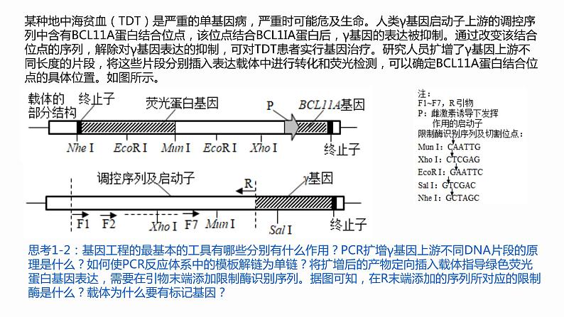 高中生物 基因工程的应用 课件03