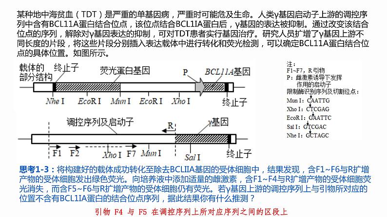 高中生物 基因工程的应用 课件05