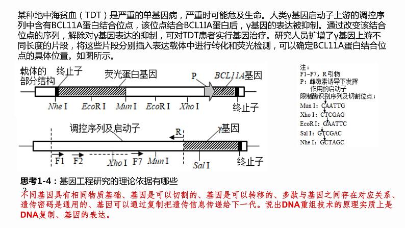 高中生物 基因工程的应用 课件06