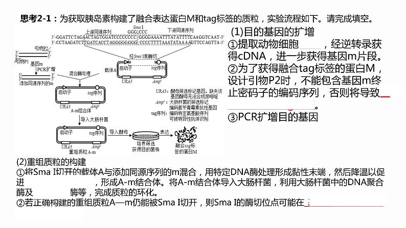 高中生物 基因工程的应用 课件08