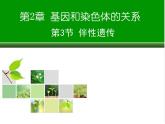 高中生物 伴性遗传 课件