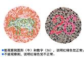 高中生物 伴性遗传 课件