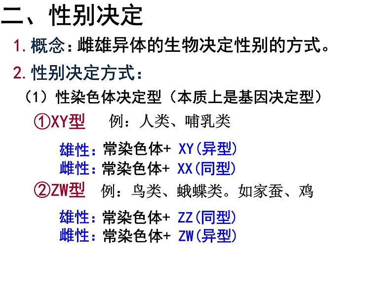 高中生物 伴性遗传 课件第8页