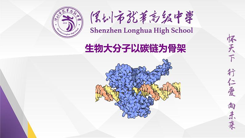 高中生物 生物大分子以碳链为骨架 课件01