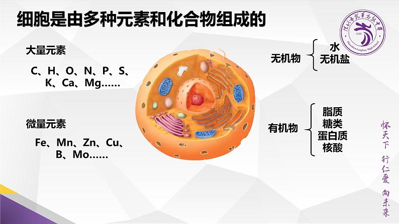 高中生物 生物大分子以碳链为骨架 课件02