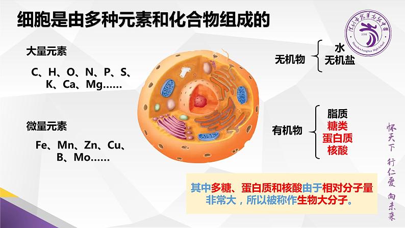 高中生物 生物大分子以碳链为骨架 课件04