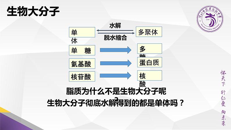 高中生物 生物大分子以碳链为骨架 课件07