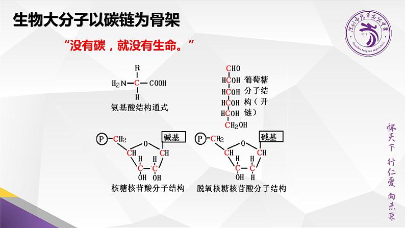 高中生物 生物大分子以碳链为骨架 课件08