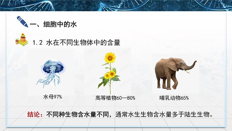 高中生物 细胞中的无机物 授课PPT 课件05