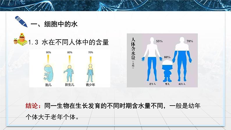 高中生物 细胞中的无机物 授课PPT 课件06