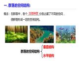 高中生物 群落的结构 （第二课时） 课件