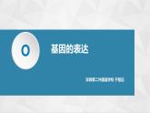 高中生物 基因指导蛋白质的合成（基因的表达）  课件