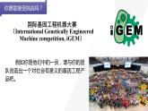 高中生物 重组DNA技术的基本工具 课件