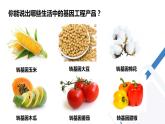 高中生物 重组DNA技术的基本工具 课件
