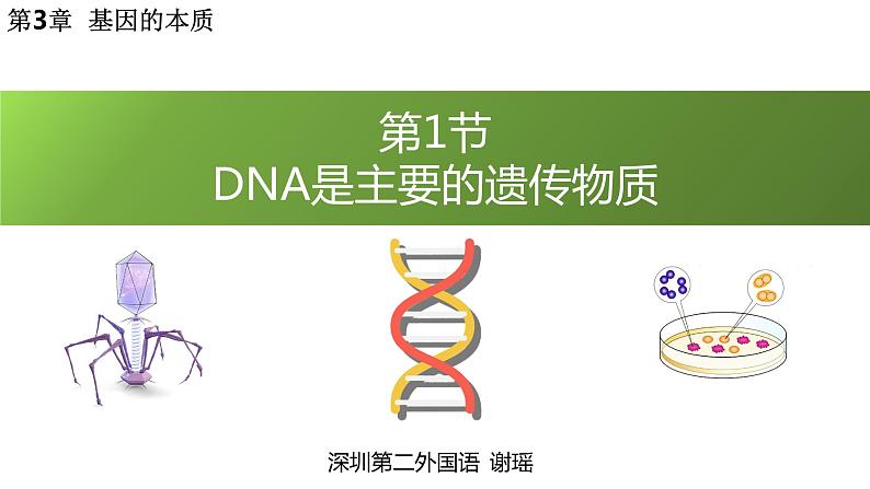 高中生物 DNA是主要的遗传物质 课件第1页