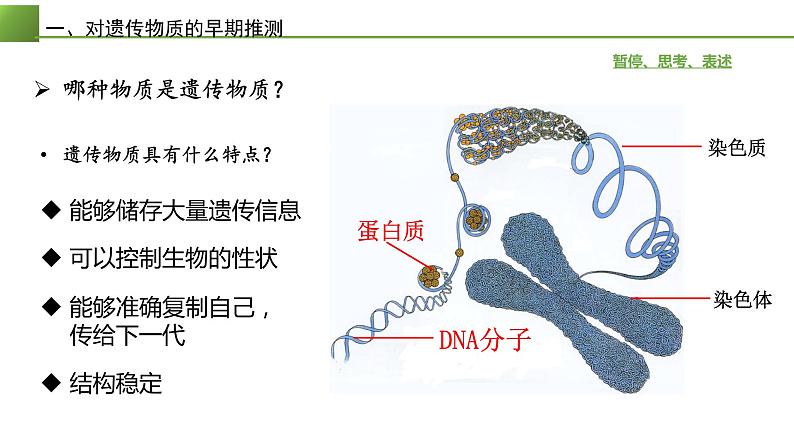 高中生物 DNA是主要的遗传物质 课件第4页