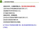 高中生物 DNA是主要的遗传物质 课件