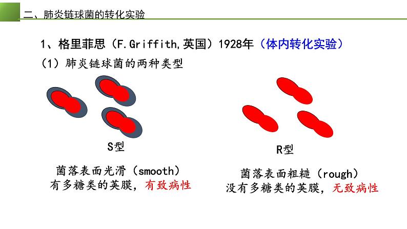 高中生物 DNA是主要的遗传物质 课件第6页