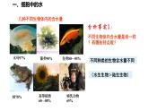 高中生物 细胞中的无机物  课件