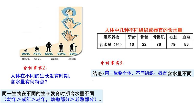 高中生物 细胞中的无机物  课件05