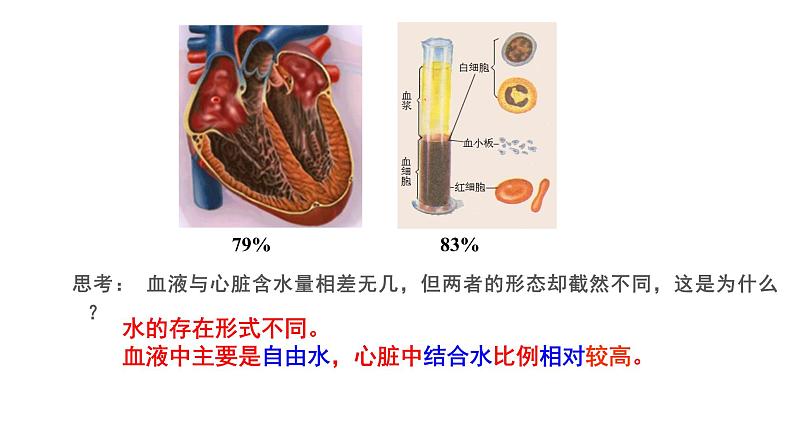 高中生物 细胞中的无机物  课件06