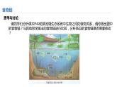 高中生物 生态系统的结构（第2课时）课件