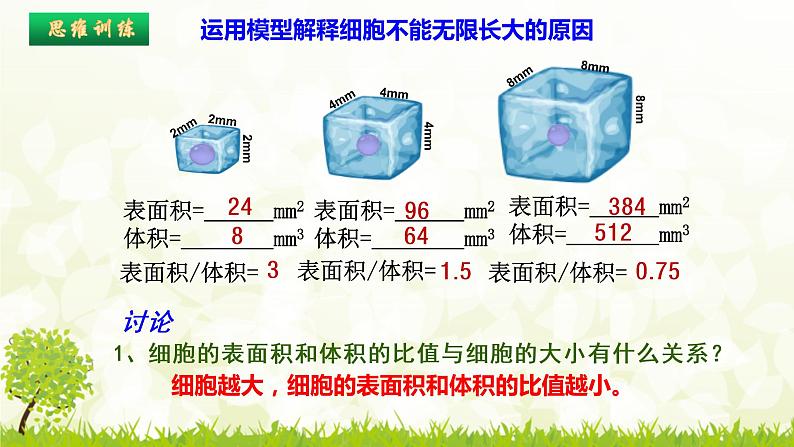 高中生物 细胞的增殖 课件第2页