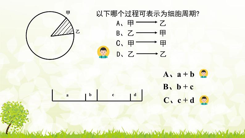 高中生物 细胞的增殖 课件第8页