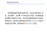 高中生物 种群基因组成的变化与物种的形成（上） 课件