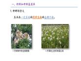 高中生物 种群基因组成的变化与物种的形成（上） 课件