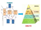 高中生物 生态系统的能量流动 （第二课时）课件