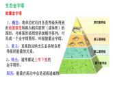 高中生物 生态系统的能量流动 （第二课时）课件