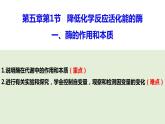 高中生物 酶的作用和本质 课件