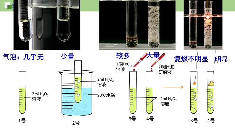 高中生物 酶的作用和本质 课件第7页