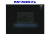 高中生物 生态系统的稳定性（PPT）课件