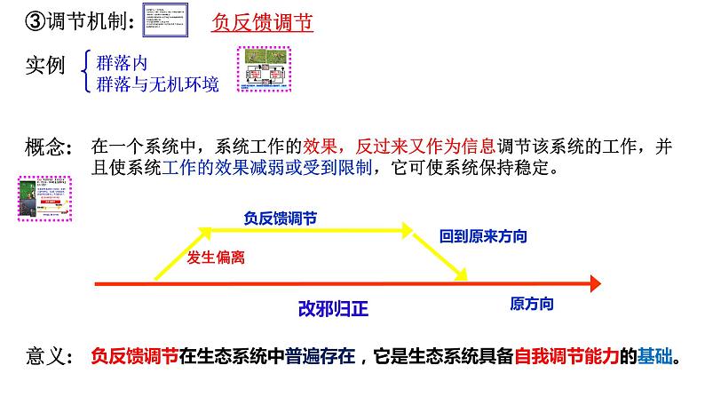 高中生物 生态系统的稳定性（PPT）课件06