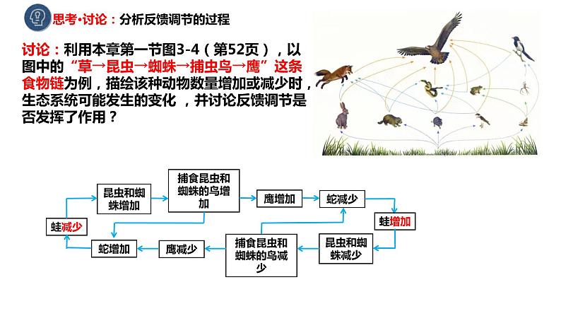 高中生物 生态系统的稳定性（PPT）课件07