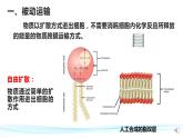 高中生物 被动运输（第2课时） 课件