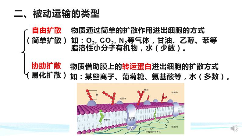 高中生物 被动运输（第2课时） 课件07