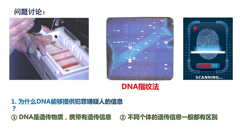 高中生物 人教版 必修一 分子与细胞 核酸是遗传信息的携带者 微课课件第3页